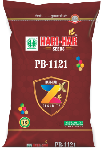 PB-1121 (ZX)