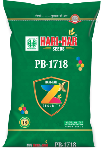 PB-1718 (ZX)