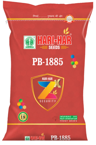 PB-1885 (ZX)